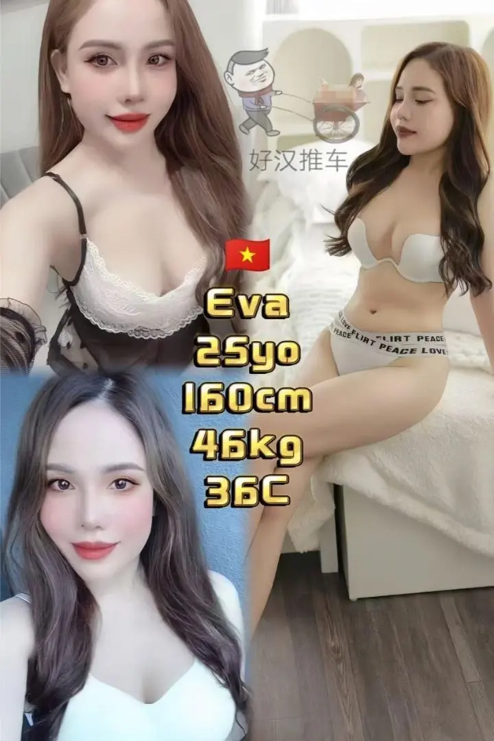 5.webp